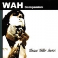 Quasi Tutto Liscio by Wah Companion