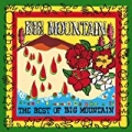The Best Of Big Mountain by Big Mountain