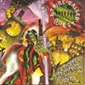 Beats, Rhymes & Life by A Tribe Called Quest
