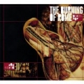 Death-Pop by The Burning of Rome