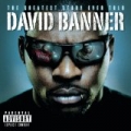 The Greatest Story Ever Told [Explicit] by David Banner