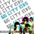 One Night Stand by Big City Kids