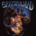 Built To Last by The Grateful Dead