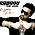What's Love by Shaggy feat. Akon
