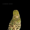 Armchair Apocrypha by Andrew Bird