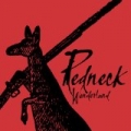 Redneck Wonderland by Midnight Oil