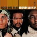 Bridging The Gap by The Black Eyed Peas
