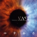 Visual Audio Sensory Theater by Vast