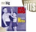Greatest Hits (US Release) by Mr. Big