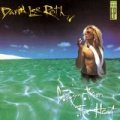 Crazy From The Heat by David Lee Roth