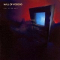 Mexican Radio by Wall Of Voodoo