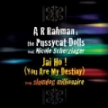 Jai Ho! (You Are My Destiny) by A.R. Rahman