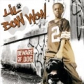 Beware Of Dog by Bow Wow