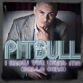 I Know You Want Me (Calle Ocho) by Pitbull