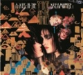 A Kiss In The Dreamhouse by Siouxsie And The Banshees
