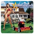I Am (Album Version) by Zebrahead