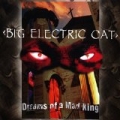 Dreams Of A Mad King by Big Electric Cat