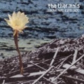 Now We Can See by The Thermals