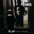 Life Is Peachy [Explicit] by Korn