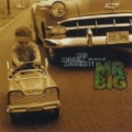 Big, Bigger, Biggest! The Best Of Mr. Big by Mr. Big