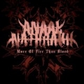 More of Fire Than Blood by Anaal Nathrakh