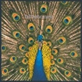Expecting To Fly (Expanded Edition) by The Bluetones