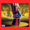 Freak On [Explicit] by StoneBridge feat. Ultra Naté