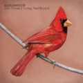 Old Crows / Young Cardinals by Alexisonfire