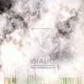 Disco Terminateur EP by Vitalic