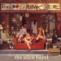 The Love Junk Store (Bonus Version) by The Alice Band