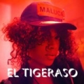 El Tigeraso by Maluca