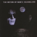 Floodland (Remastered & Expanded) by Sisters Of Mercy