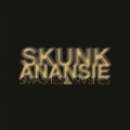 Smashes and Trashes - The Greatest Hits [Explicit] by Skunk Anansie