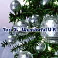 Wonderful U R by Toru S.