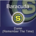 Damn, Remember the Time by Baracuda