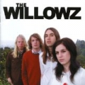 Talk In Circles by The Willowz