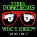 Who's Next? (Radio Edit) by True Ingredients