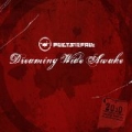 Dreaming Wide Awake by Poets Of The Fall
