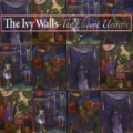 The Elegant Universe by The Ivy Walls