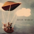 Strange Bird by Augie March