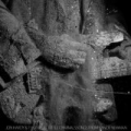 Little Criminals: Songs From Randy Newman by Jon Hardy & The Public