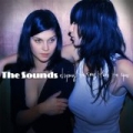 Dying To Say This To You [Explicit] by The Sounds