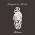 Palomino by Trampled by Turtles