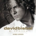 Mi Princesa (Banda Version) by David Bisbal