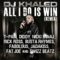 All I Do Is Win (Remix) by DJ Khaled