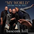 My World (Sucks To Be You) by Bascom Hill