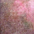 Summer Heart by Blackbird Blackbird
