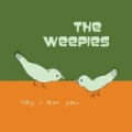 Say I Am You by The Weepies