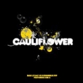 Cauliflower by dan le sac vs Scroobius Pip feat. KiD A