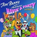 Jive Bunny And The Mastermixers Havin' A Party by Jive Bunny And The Mastermixers